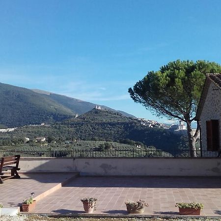 B&B Colle San Francesco Assisi Exterior photo