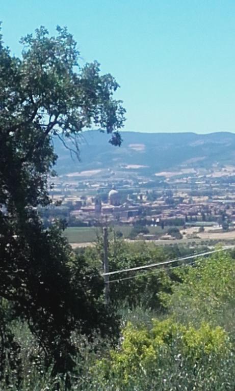 B&B Colle San Francesco Assisi Exterior photo