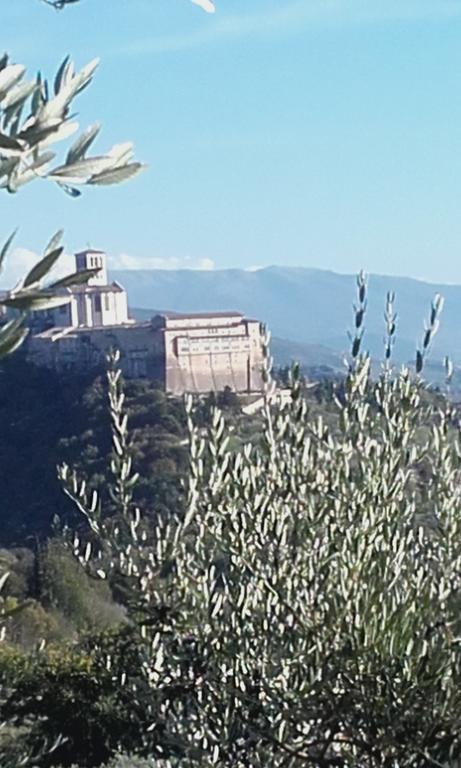B&B Colle San Francesco Assisi Exterior photo