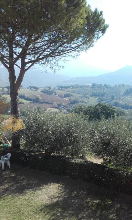B&B Colle San Francesco Assisi Exterior photo